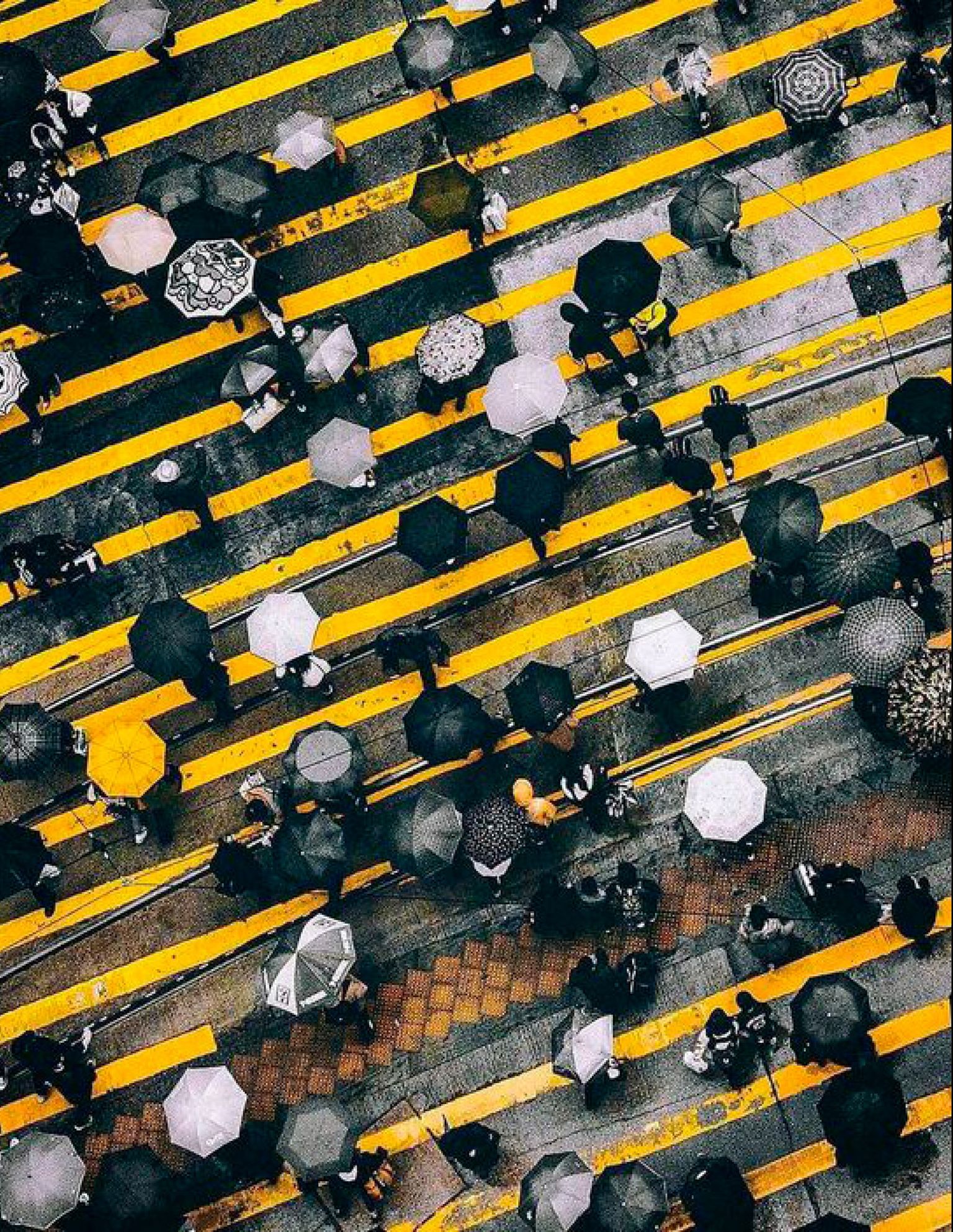 A ROCKPORT CONTINUA SUA MISSÃO DE IMPULSIONAR A JORNADA DO DIA A DIA, PERMANECENDO EM SINTONIA COM A VIDA.